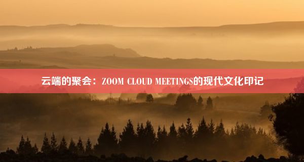 云端的聚会：ZOOM CLOUD MEETINGS的现代文化印记