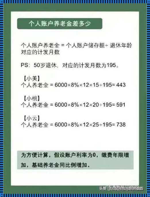 社保投资：智慧选择的黄金时代