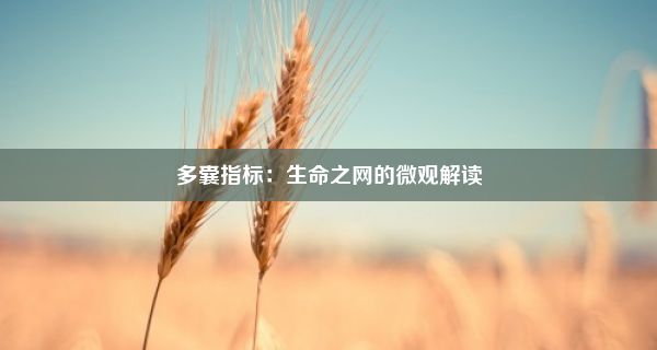 多囊指标：生命之网的微观解读