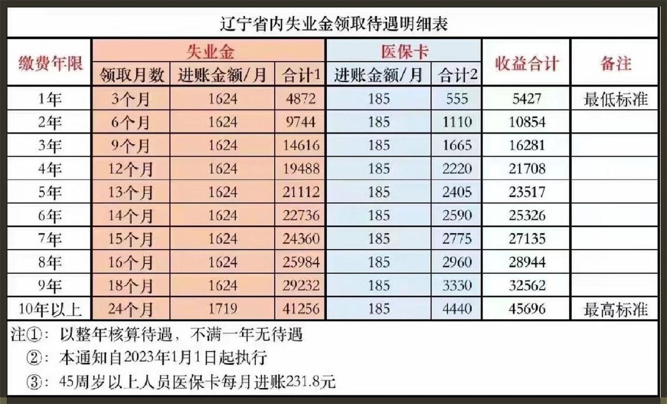 2023年村干部最新政策待遇：乡村的守护者与改革者