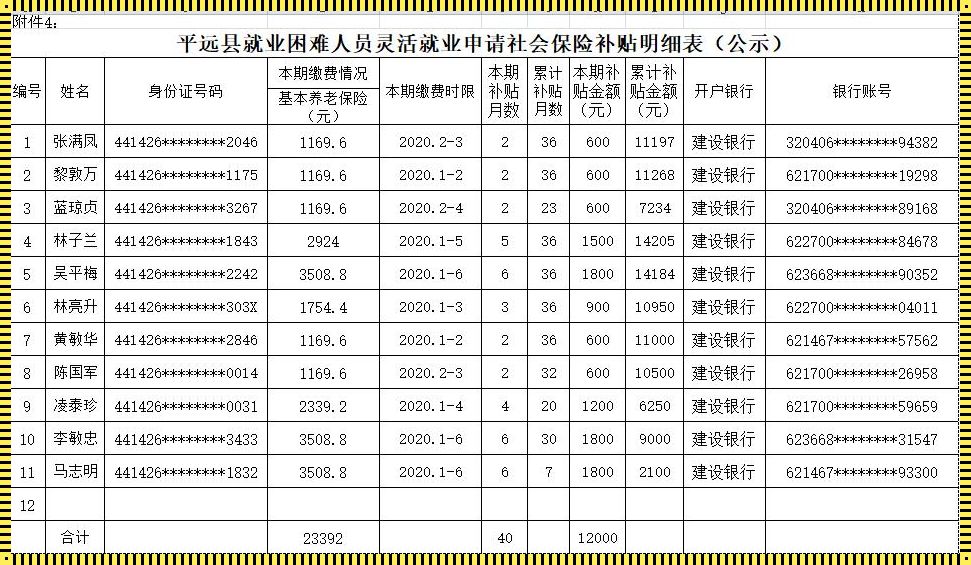 民办非企业单位社保：社会关怀的桥梁