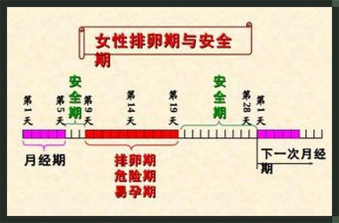 精确推算同房日期：科学、艺术与情感的交融