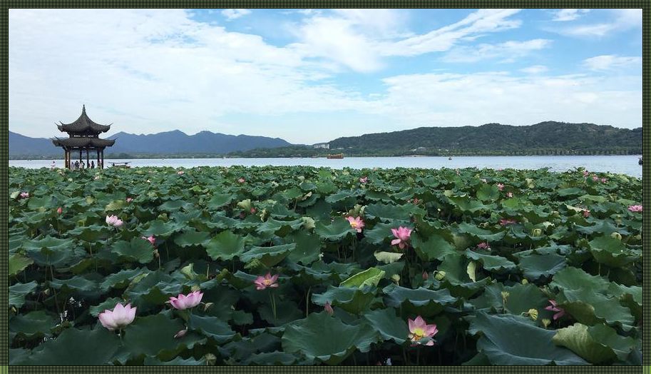 这个季节，寻找心中的凉爽之地