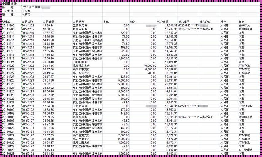 如何查询个人流水记录：探索自我财务的旅程