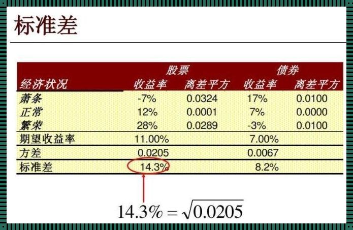 股份计算的奥秘：财富与智慧的交织