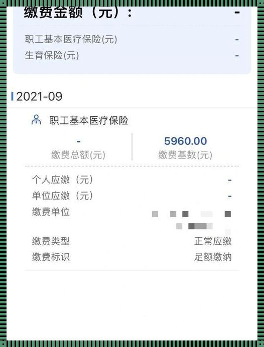 灵活就业人员医保账户余额：守护健康与希望的港湾