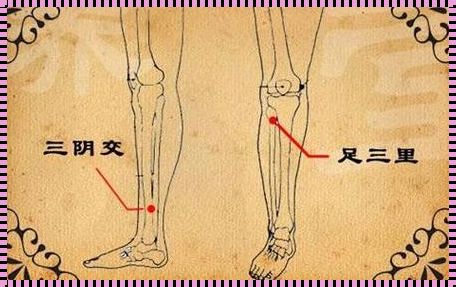 足三里，左右脚之分带来的健康启示录