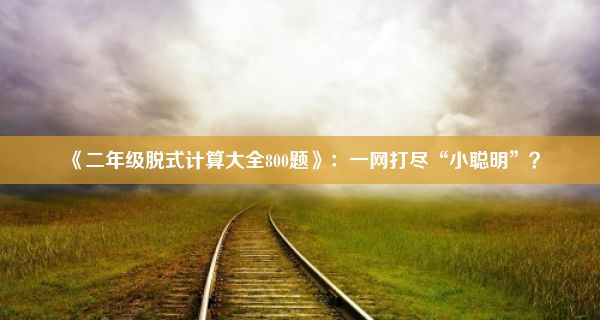 《二年级脱式计算大全800题》：一网打尽“小聪明”？