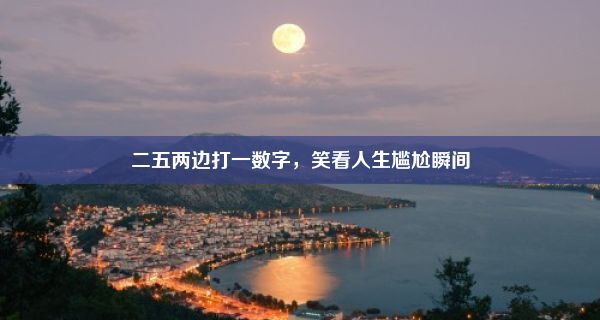 二五两边打一数字，笑看人生尴尬瞬间