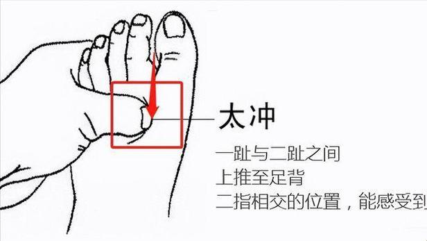 《躺冲精确位置图：误打误撞的幽默之旅》