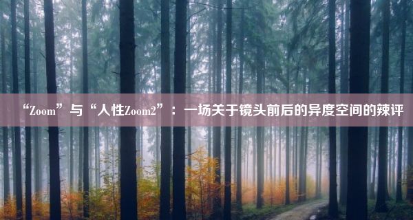 “Zoom”与“人性Zoom2”：一场关于镜头前后的异度空间的辣评