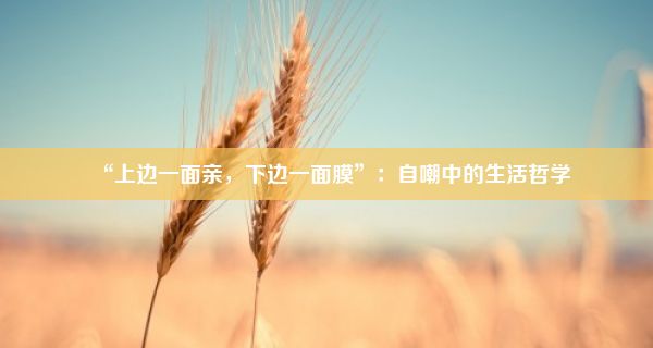 “上边一面亲，下边一面膜”：自嘲中的生活哲学