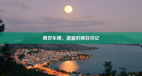 离世车牌，遗留的疯狂印记