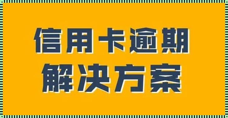 《信卡诡辩：分期付款的妖术》