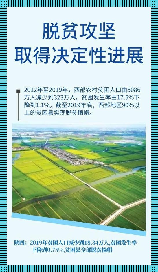 “西部的呼唤：民间资本的狂野之旅”