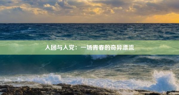 入团与入党：一场青春的奇异漂流