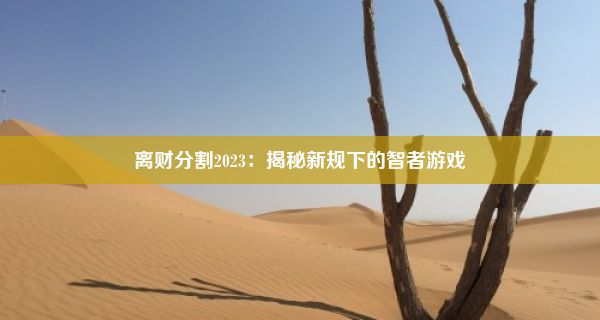 离财分割2023：揭秘新规下的智者游戏