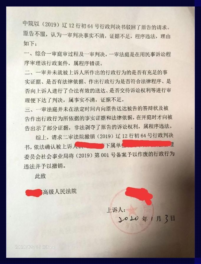 “起诉法条，添油加醋的艺术：一场戏谑的正义之战”