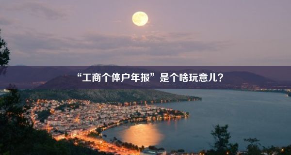 “工商个体户年报”是个啥玩意儿？