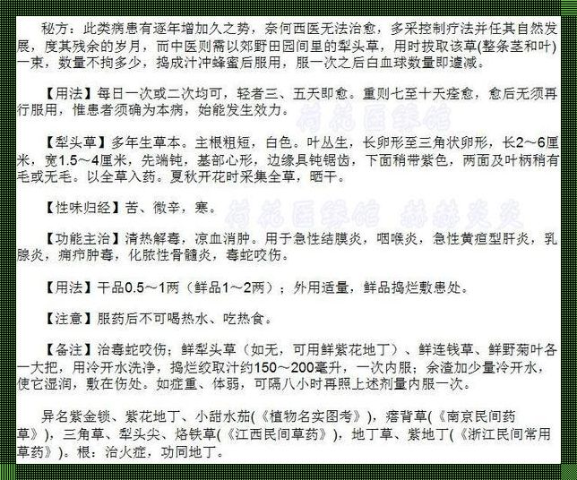 永远断根高血压偏方：笑谈人生，自嘲一番