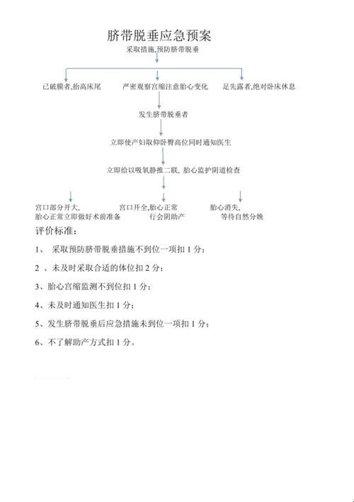 “脐带脱垂”的戏谑之旅：护理措施篇